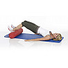 Multiroll® Functional