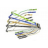 GymstickTM Original