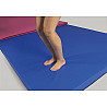 TEAM-Niedersprungmatte blau 12cm