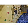Kinderklettergriffe Tiere