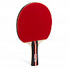 Benz Tischtennis-Schläger BE 20 School