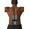 Thera-Band Kinesiology Tape Precut Rolle 25,4 x 5 cm