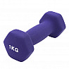 PROGYM Neopren Fausthantel
