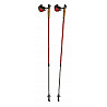 Nordic Walking Stöcke (Paar)