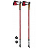 Nordic Walking Stöcke (Paar)
