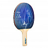 Tischtennis-Trainings-Set