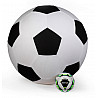 Riesen Fußball Ø 75 cm

