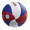BENZ Volleyball Smash 2000 DVV1