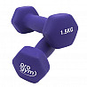 PROGYM Neopren Fausthantel Satz 33 kg