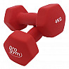 PROGYM Neopren Fausthantel Satz 33 kg