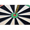 Turnier-Dartboard