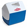 IGLOO Kühlbox / Mini Cooler / Eisbox