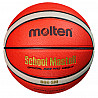 Molten Baskteball School Master

