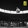 Slackline Gibbon-Jibline