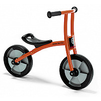 Roller - BikeRunner