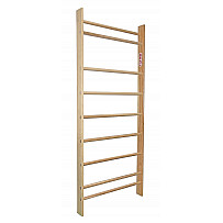 Benz Heimsprossenwand starr 100 x 240 cm