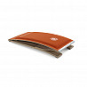 Spieth Feder - Sprungbrett Standard 80