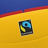 BENZ Fairtrade Volleyball Premium SoftTouch Indoor DVV1
