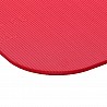 AIREX® Gymnastikmatte 185 x 100 x 1,5 cm
