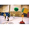 Puoll Ball Original Set