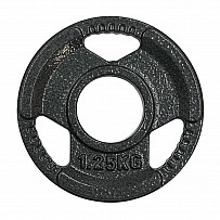 Hantelscheibe Guss 50 mm Aufnahme und Griffausparung