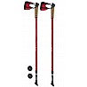 Nordic Walking Stöcke (Paar)