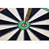 Turnier-Dartboard