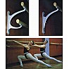 Braigbarre - Das Original - Wandhalterung