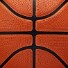 Wilson NBA Authentic