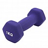 PROGYM Neopren Fausthantel Satz 16,5 kg