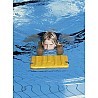 Schwimmbrett mit Griffen