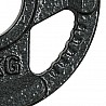 Hantelscheibe Guss 50 mm Aufnahme und Griffausparung