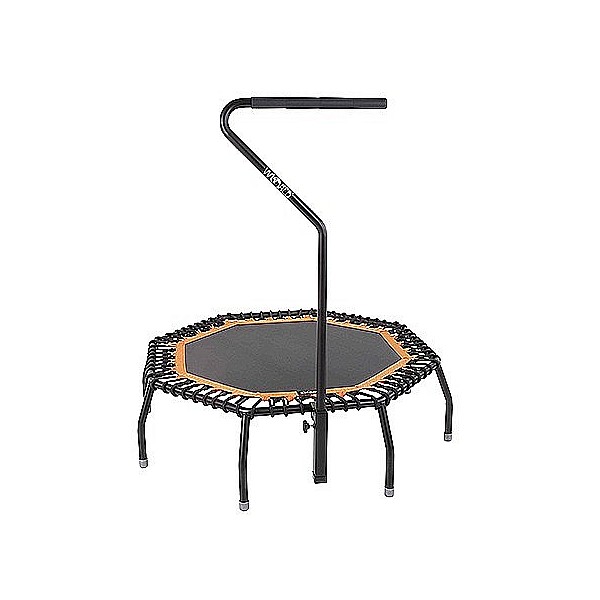 WORLD JUMPING SPIDER Studio Standard