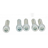 Schraubenset für Kinder-Klettergriffe Zappel Philipp