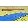 Benz Competition Balance Beam Trophy