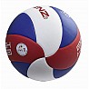 BENZ Volleyball Smash 2000 DVV1
