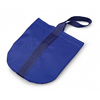 Discus Carrying Case