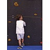 Climbing Wall Element Plywood Brown