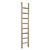 Climbing Tower Ladder
