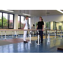 Parallel Bars With Flange-floor Mounting