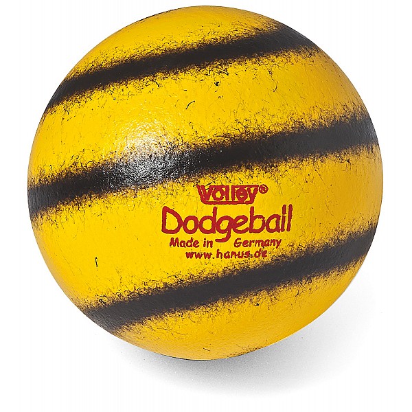 Volley Dodgeball
