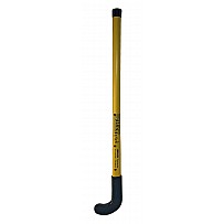 Play hockey stick