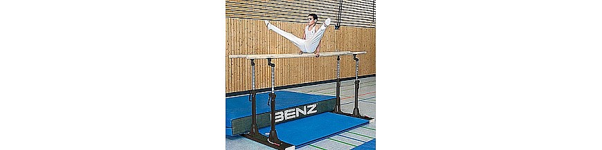 Calisthenics